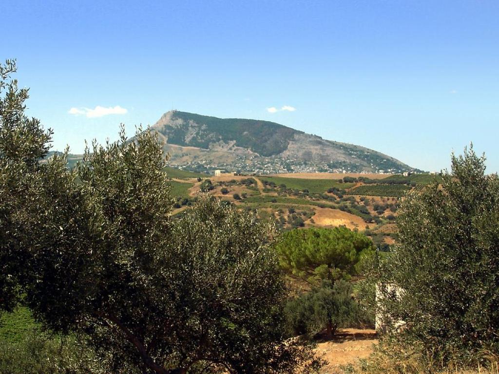 Ciuri' Affittacamere Alcamo Exteriér fotografie